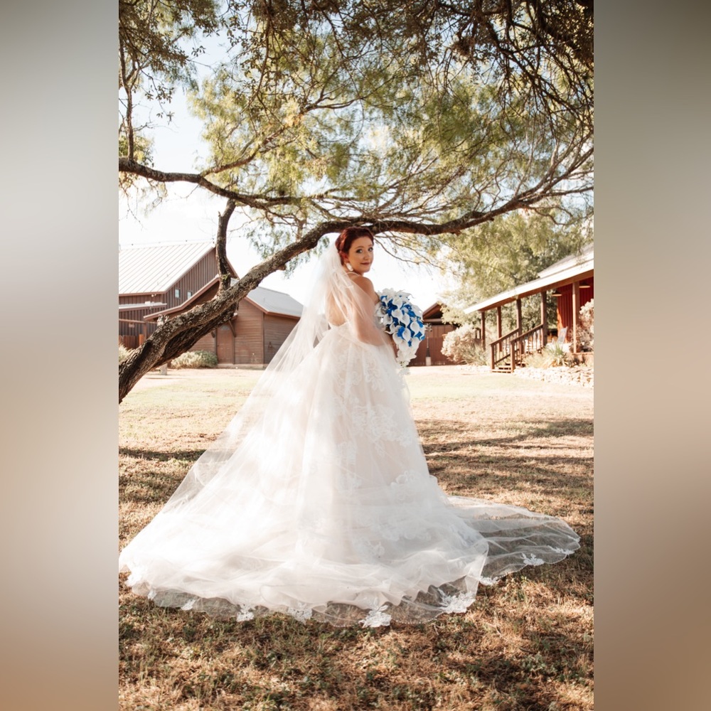 White David’s Bridal Wedding Dress